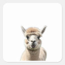 Zoek naar pluche stickers Roze