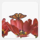 Zoek naar rode tulpen stickers Rood