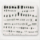 Recherche de darwin tapis souris 19ème
