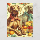 Zoek naar weimaraner briefkaarten Weimarant