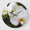 Zoek naar bloemen afbeeldingen klokken Close up