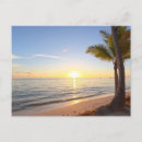 Recherche de sleeves cartes postales Pour tous