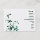 Recherche de plante en bambou cartes visite Plantes