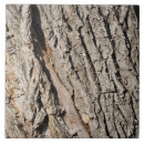 Recherche de tronc carreaux Bois