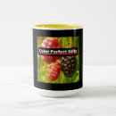 Recherche de blackberry tasses Pour tous