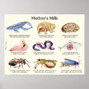 Recherche de lait posters Nature