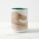 Zoek naar trex mokken Jurassic