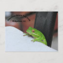 Recherche de traineau cartes postales Grenouille