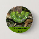 Recherche de serpent vert badges Serpents