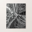 Recherche de racines puzzles Noir et blanc
