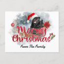 Recherche de carlin noël cartes postales Joyeux