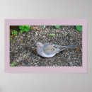 Recherche de la colombie posters Nature