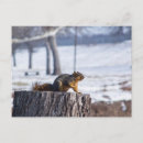 Recherche de souches cartes postales Nature