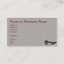 Recherche de canard en bois cartes visite Chasse