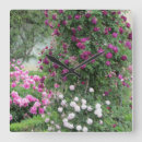 Recherche de roses sauvages horloges Coloré