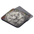 Recherche de grand chat coques Chats