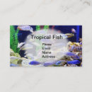 Recherche de aquarium poissons cartes visite Aquatique