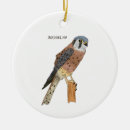 Zoek naar roofvogel ornamenten Raptor