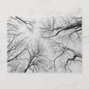 Recherche de bois naturel cartes postales Personne