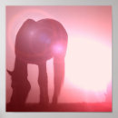 Recherche de silhouette de cheval posters Équine