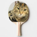 Recherche de cat tennis de table Félin