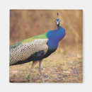 Recherche de indépendant magnets Photographie