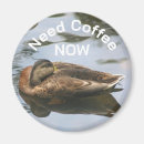 Recherche de animaux humoristiques magnets Mignon