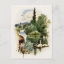 Recherche de cygne vintage cartes postales Étang