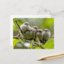 Recherche de du nord ouest cartes postales Photographie de la nature