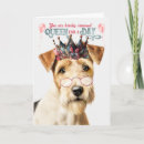 Zoek naar fox terrier kaarten Honden