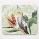 Recherche de oiseau noir tapis souris Feuille