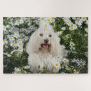 Recherche de fleurs blanches puzzles Pour tous