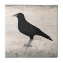 Zoek naar kraaien tegels Vogels