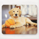 Recherche de golden retriever tapis souris Récupérateur de jaune