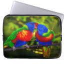 Zoek naar papegaai laptop sleeves Kleurrijk