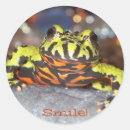 Recherche de crapaud autocollants Ventre