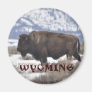 Zoek naar wyoming magneten Bizon