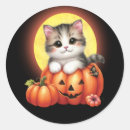 Recherche de lune chat autocollants Citrouille