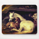 Recherche de atterrisseur Chevaux