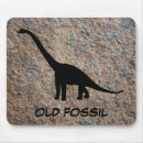 Recherche de fossile tapis souris Paléontologie