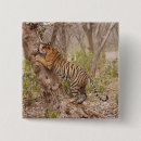 Recherche de tigre de bengale badges Faune