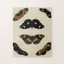 Recherche de crème puzzles Insecte