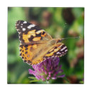 Recherche de butterfly carreaux Nature