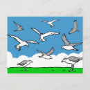 Recherche de mouette en vol cartes postales Nature