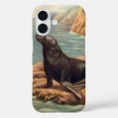 Recherche de mammifères coques Océan