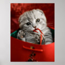 Recherche de animaux de noël posters Chat