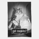 Recherche de humour chat cuisine linges Mignon