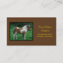Recherche de poneys cartes visite Cheval