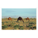 Recherche de tunisie posters Afrique