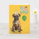 Zoek naar border terrier kaarten Terriërs